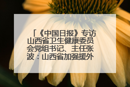 《中国日报》专访山西省卫生健康委员会党组书记、主任张波：山西省加强援外医疗工作 构建中非卫生健康共同体