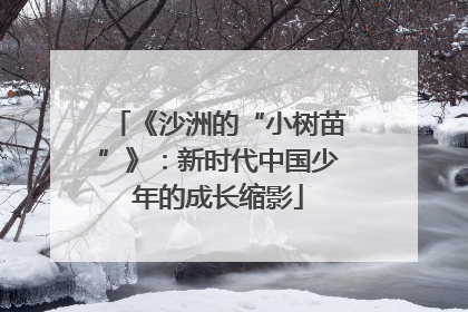 《沙洲的“小树苗”》：新时代中国少年的成长缩影