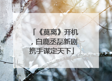 《莫离》开机，白鹿丞磊新剧携手谋定天下