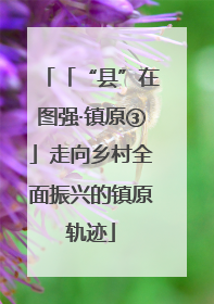 「“县”在图强·镇原③」走向乡村全面振兴的镇原轨迹