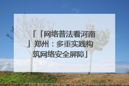 「网络普法看河南」郑州：多重实践构筑网络安全屏障