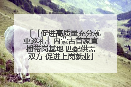 「促进高质量充分就业巡礼」内蒙古首家直播带岗基地 匹配供需双方 促进上岗就业