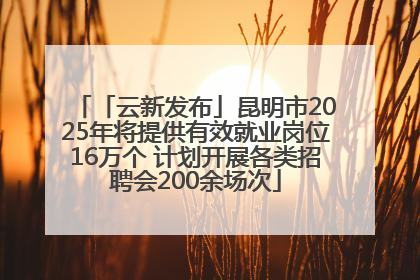 「云新发布」昆明市2025年将提供有效就业岗位16万个 计划开展各类招聘会200余场次