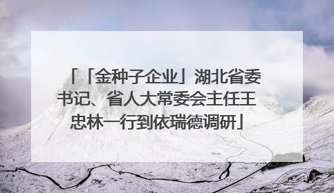 「金种子企业」湖北省委书记、省人大常委会主任王忠林一行到依瑞德调研