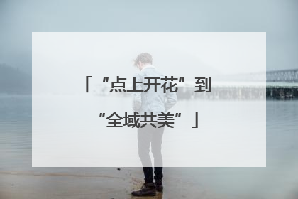 “点上开花”到“全域共美”