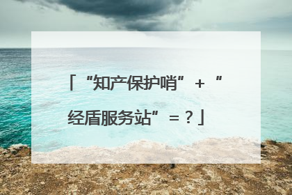 “知产保护哨”+“经盾服务站”=？