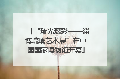 “琉光璃彩——淄博琉璃艺术展”在中国国家博物馆开幕