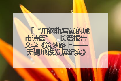 “用钢轨写就的城市诗篇”，长篇报告文学《筑梦路上——无锡地铁发展纪实》研讨会在南京举行