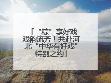 “粽”享好戏 戏韵流芳！共赴河北“中华有好戏”特别之约
