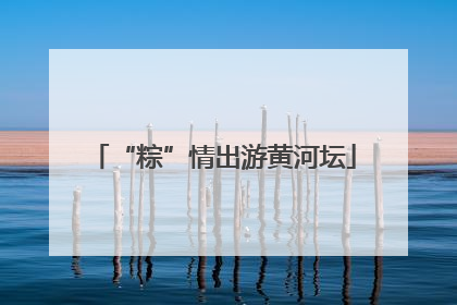 “粽”情出游黄河坛