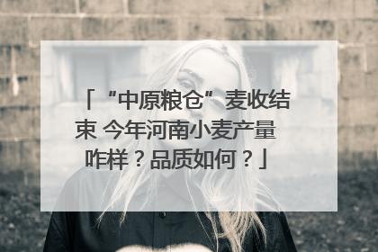 “中原粮仓”麦收结束 今年河南小麦产量咋样？品质如何？