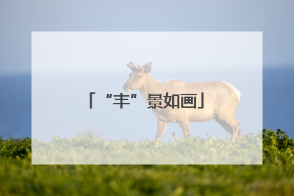 “丰”景如画