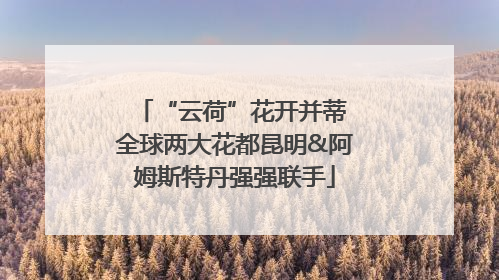 “云荷”花开并蒂 全球两大花都昆明&阿姆斯特丹强强联手