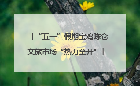“五一”假期宝鸡陈仓文旅市场“热力全开”