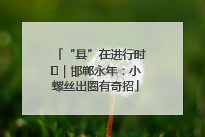 “县”在进行时⑬｜邯郸永年：小螺丝出圈有奇招