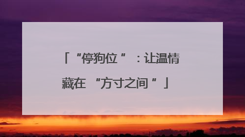“停狗位 ”：让温情藏在 “方寸之间 ”