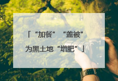 “加餐”“盖被” 为黑土地“增肥”