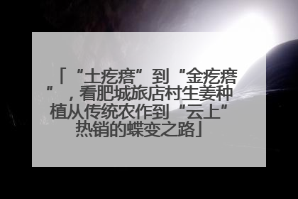 “土疙瘩”到“金疙瘩”，看肥城旅店村生姜种植从传统农作到“云上”热销的蝶变之路