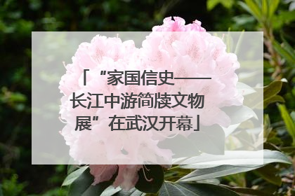 “家国信史——长江中游简牍文物展”在武汉开幕