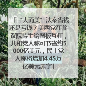 “大而美”法案省钱还是亏钱？美两党在参议院持手绘图板互杠，共和党人称可节省约5000亿美元，民主党人称将增加4.45万亿美元赤字