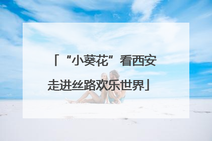 “小葵花”看西安走进丝路欢乐世界