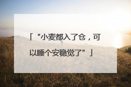 “小麦都入了仓，可以睡个安稳觉了”