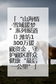 “山海情·雪域援梦”系列报道⑪ 潍坊1300万援藏资金，守护藏区群众健康“最后一公里”