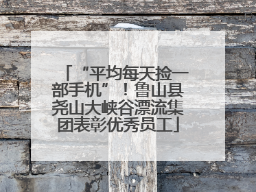 “平均每天捡一部手机”！鲁山县尧山大峡谷漂流集团表彰优秀员工