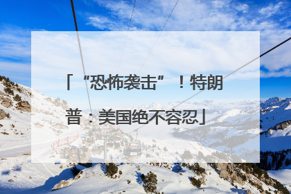“恐怖袭击”！特朗普：美国绝不容忍
