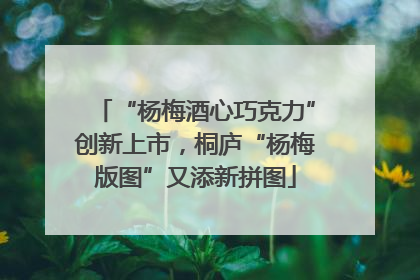 “杨梅酒心巧克力”创新上市，桐庐“杨梅版图”又添新拼图