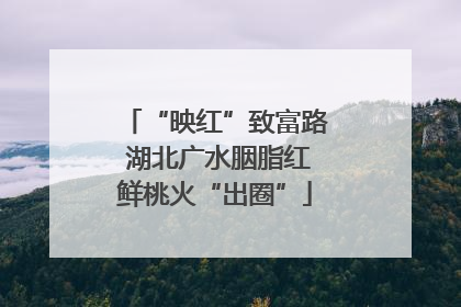 “映红”致富路 湖北广水胭脂红鲜桃火“出圈”