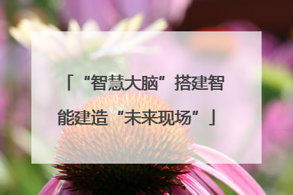 “智慧大脑”搭建智能建造“未来现场”
