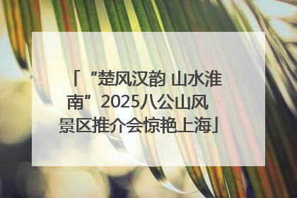 “楚风汉韵 山水淮南”2025八公山风景区推介会惊艳上海