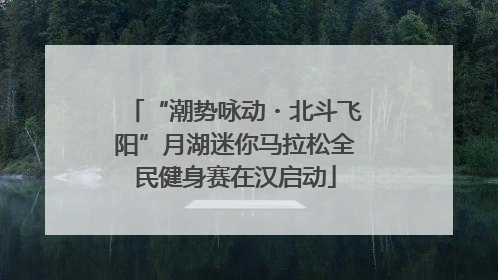 “潮势咏动・北斗飞阳”月湖迷你马拉松全民健身赛在汉启动