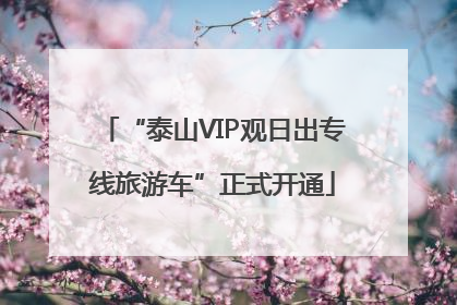 “泰山VIP观日出专线旅游车”正式开通