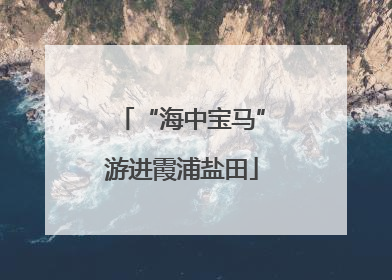 “海中宝马”游进霞浦盐田