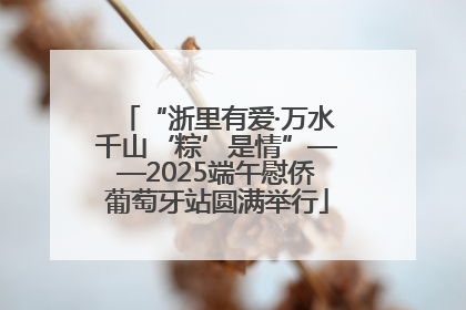 “浙里有爱·万水千山‘粽’是情”——2025端午慰侨葡萄牙站圆满举行