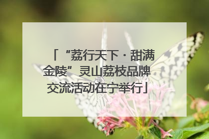 “荔行天下・甜满金陵”灵山荔枝品牌交流活动在宁举行