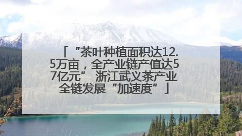 “茶叶种植面积达12.5万亩，全产业链产值达57亿元” 浙江武义茶产业全链发展“加速度”