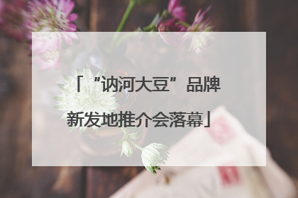 “讷河大豆”品牌新发地推介会落幕