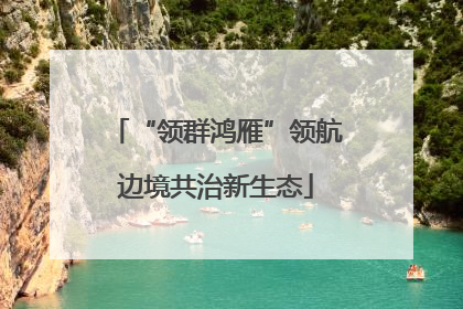 “领群鸿雁”领航边境共治新生态