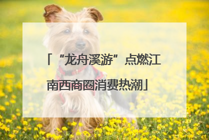 “龙舟溪游”点燃江南西商圈消费热潮