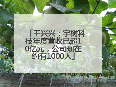 王兴兴：宇树科技年度营收已超10亿元，公司现在约有1000人