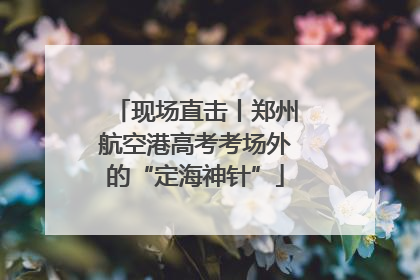 现场直击丨郑州航空港高考考场外的“定海神针”