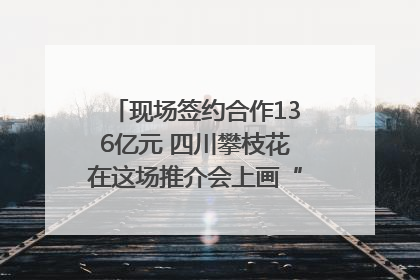 现场签约合作136亿元 四川攀枝花在这场推介会上画“图谱”列“清单”