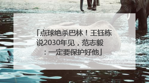 点球绝杀巴林！王钰栋说2030年见，范志毅：一定要保护好他