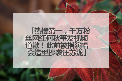 热搜第一，千万粉丝网红何秋亊发视频道歉！此前被指演唱会造型抄袭汪苏泷