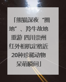 熊猫深夜“圈地”、羚牛故地重游 四川崇州红外相机定格近20种珍稀动物呆萌瞬间