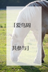 爱鸟周 共参与