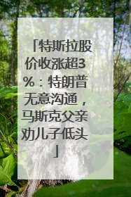 特斯拉股价收涨超3%：特朗普无意沟通，马斯克父亲劝儿子低头